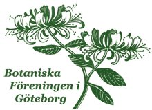 Logo f&ouml;r Botaniska F&ouml;reningen i G&ouml;teborg